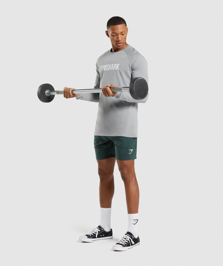 Camiseta Apollo Manga Larga Gris Humo Gymshark