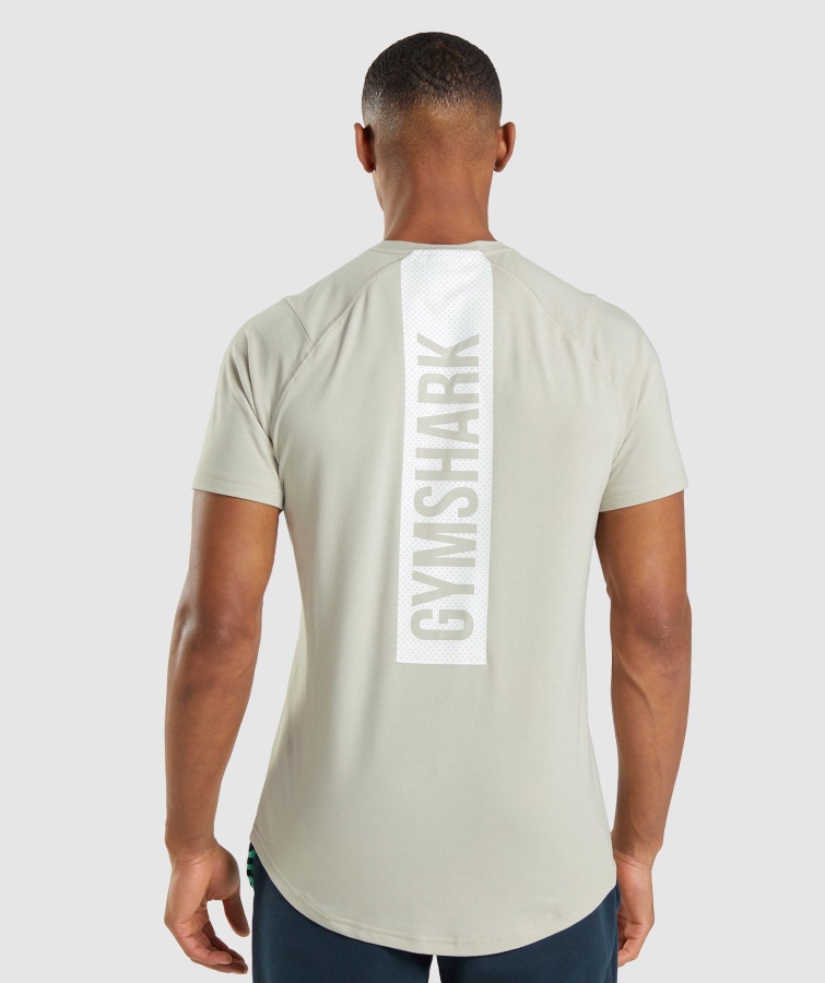 Negrita Camiseta Gris Guijarro Gymshark