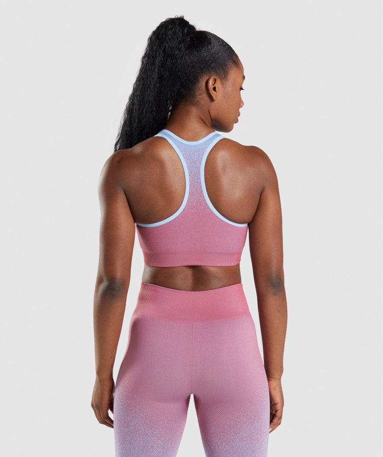 Sujetador Deportivo Gymshark Adapt Ombre Sin Costuras Rosa Rosa-azul Claro