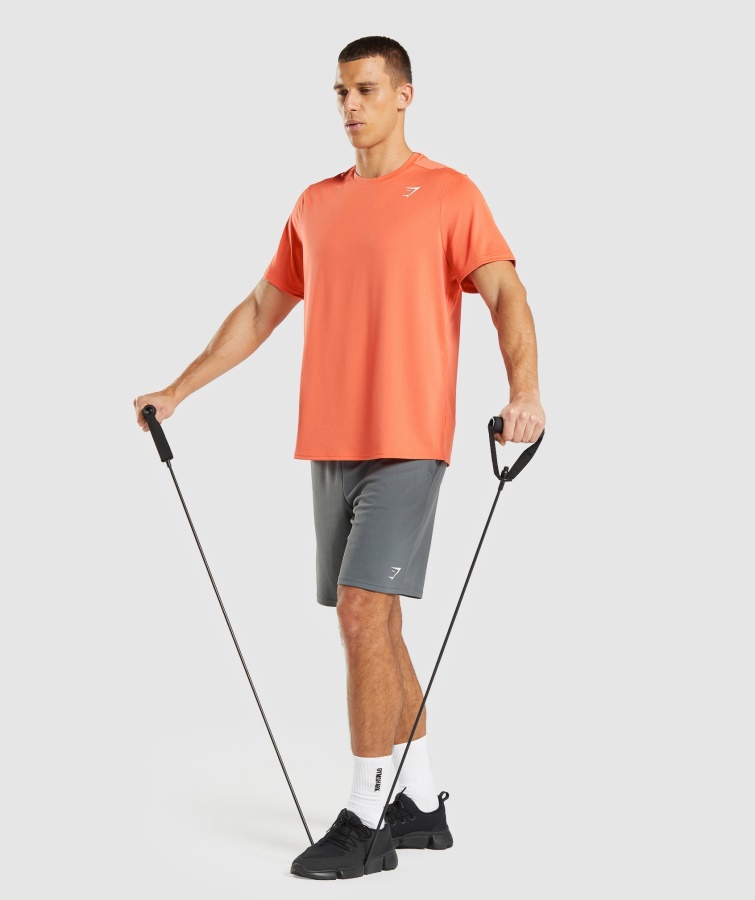 Gymshark Llegada Regular Fit Camiseta Papaya Naranja