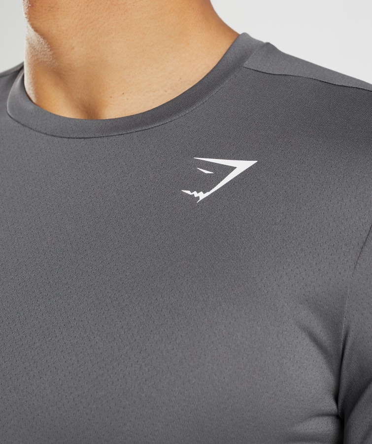 Gymshark Llegada Camiseta Silueta Gris