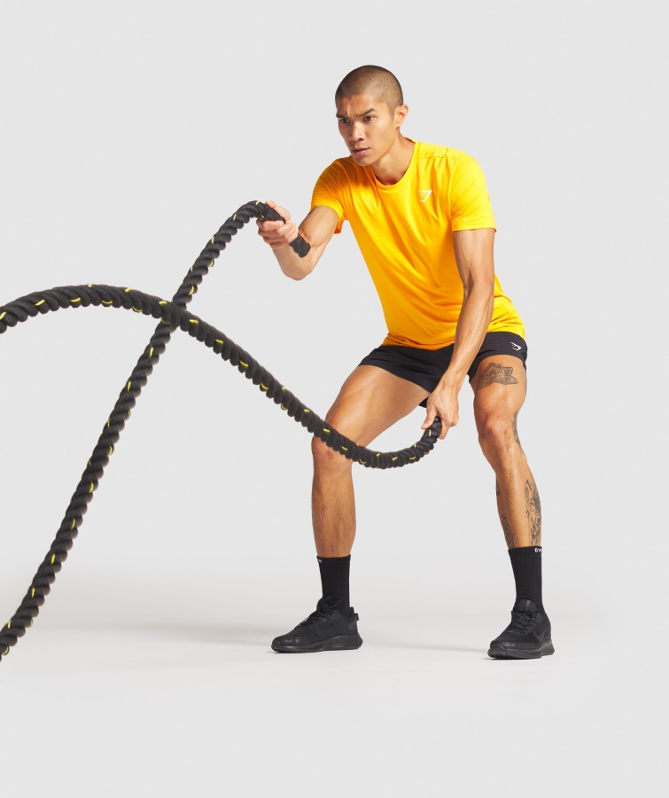 Shorts Gymshark Negros Llegada 5