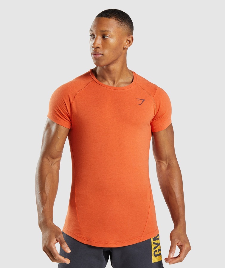 Camiseta Gymshark Bold Naranja Arcilla