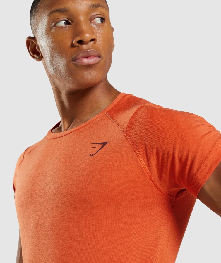 Camiseta Gymshark Bold Naranja Arcilla