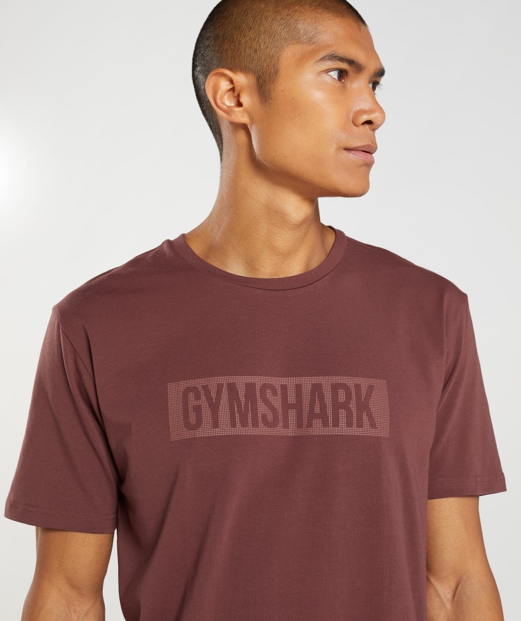 Camiseta Gymshark Bloque Marrón Cereza