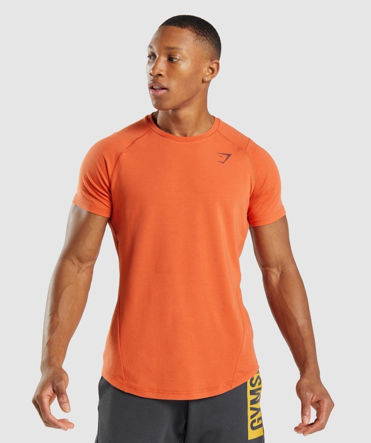 Camiseta Gymshark Naranja Arcilla Negrita