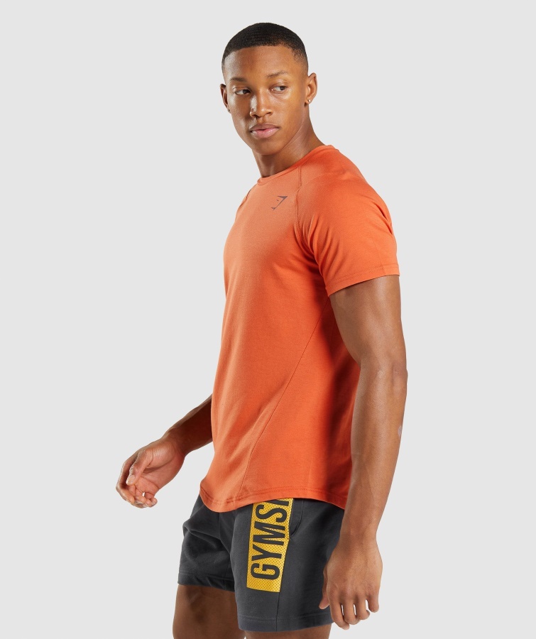 Camiseta Gymshark Naranja Arcilla Negrita