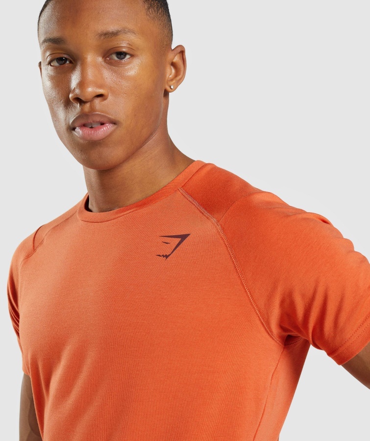 Camiseta Gymshark Naranja Arcilla Negrita