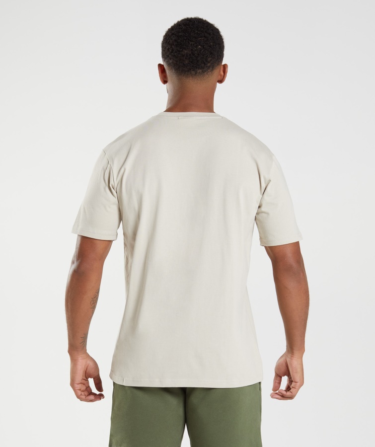 Gymshark Escudo Camiseta Gris Guijarro