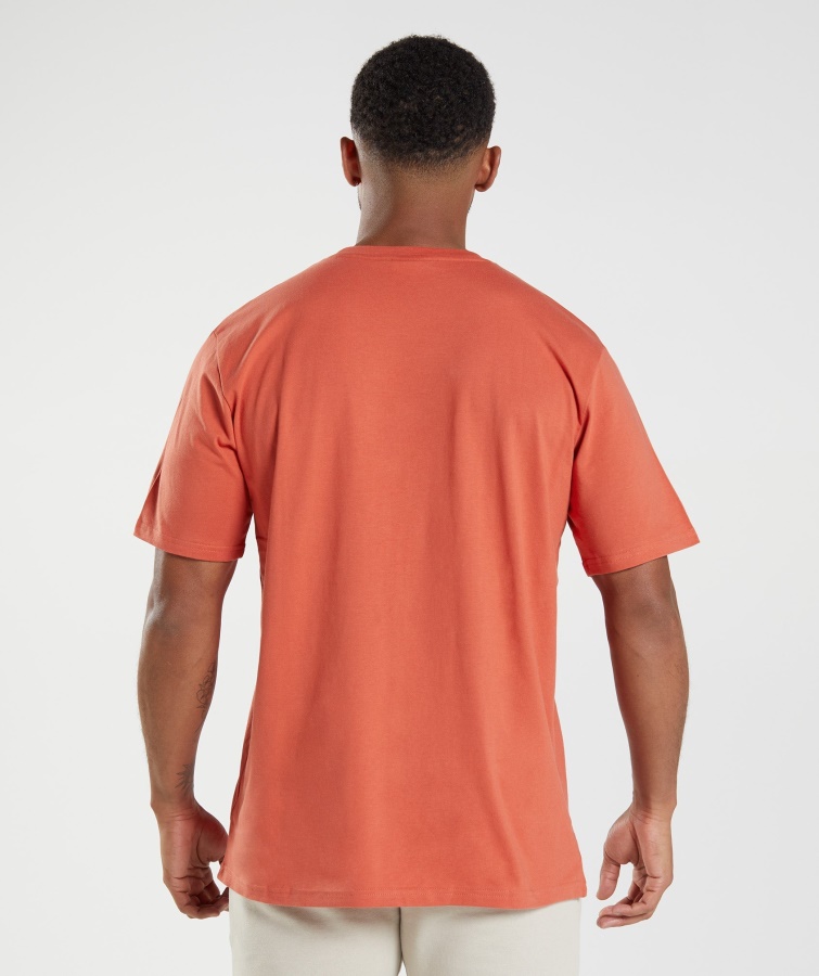 Gymshark Cresta Camiseta Tormenta Rojo