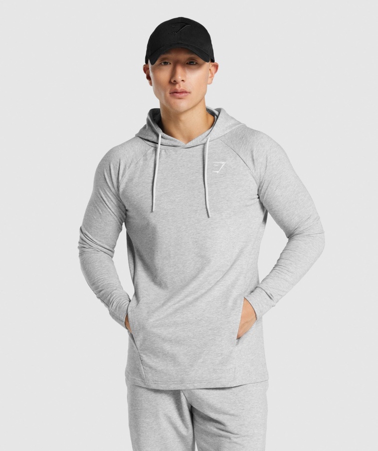 Sudadera Con Capucha Gymshark Critical 2.0 Gris Claro Jaspeado