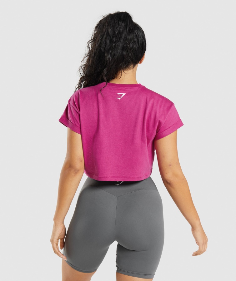 Top Corto Gymshark Dragón Rosa Fracción