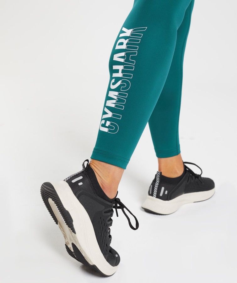 Gymshark Fracción Polainas Invierno Verde Azulado