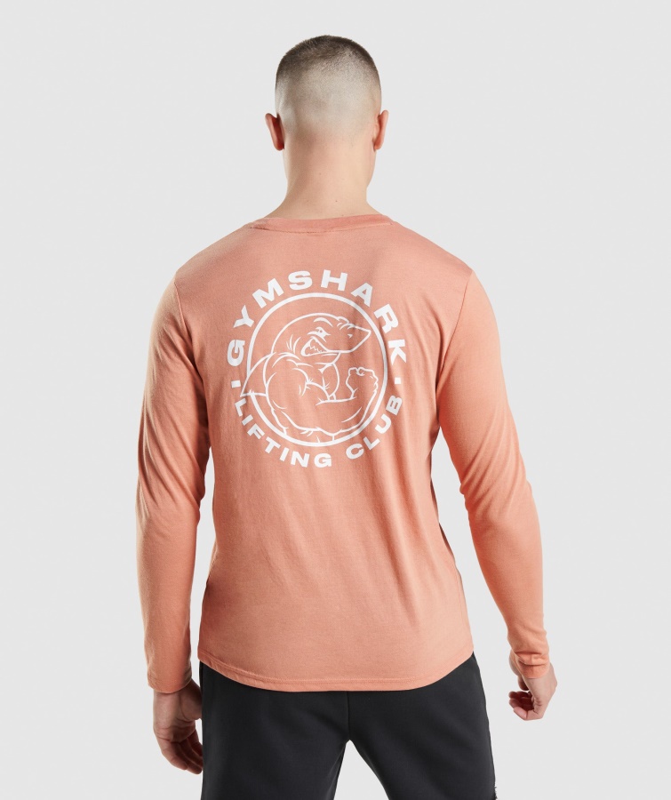 Camiseta Gymshark Legacy Manga Larga Rosa Nevada