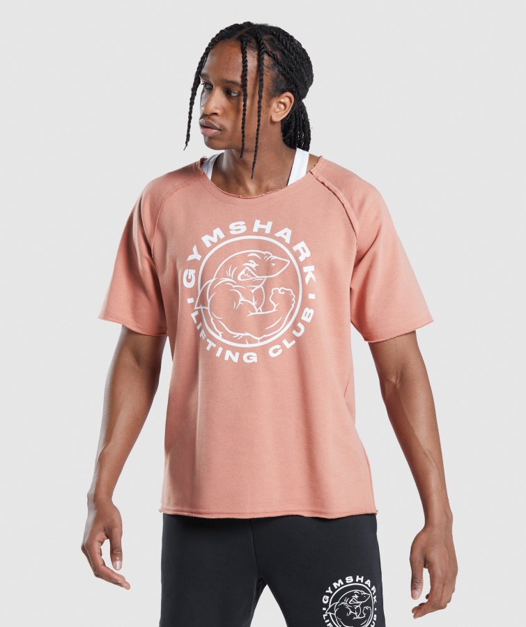 Gymshark Legacy Camiseta De Trapo Rosa Nevada