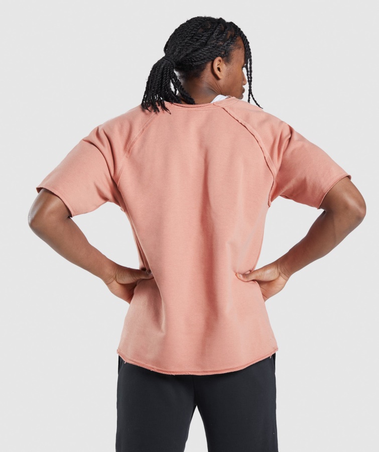 Gymshark Legacy Camiseta De Trapo Rosa Nevada