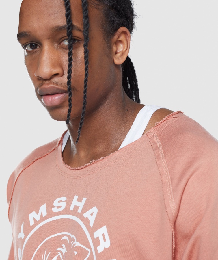 Gymshark Legacy Camiseta De Trapo Rosa Nevada