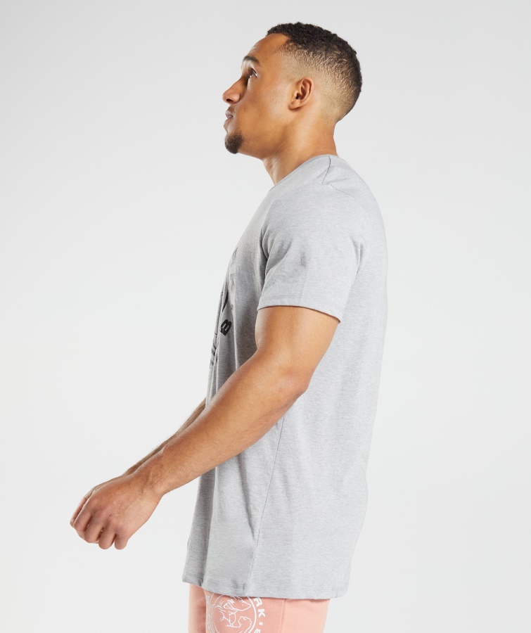 Camiseta Gymshark Core Marl Legacy Gris Claro
