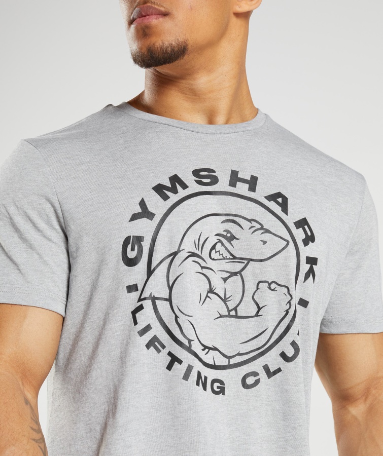 Camiseta Gymshark Core Marl Legacy Gris Claro