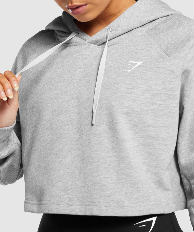 Gymshark Sudadera Con Capucha Corta De Entrenamiento Gris Jaspeado Claro