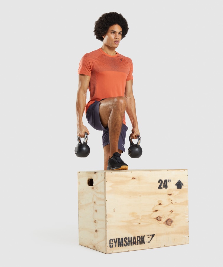 Gymshark Papaya Naranja-ónix Gris ápice Camiseta Sin Costuras