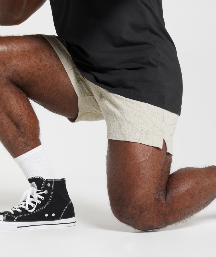 Pantalón Corto De 5