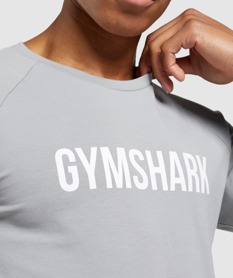 Camiseta De Manga Larga Gymshark Smokey Grey Apollo