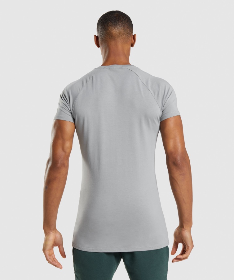 Camiseta Gymshark Gris Ahumado Apolo