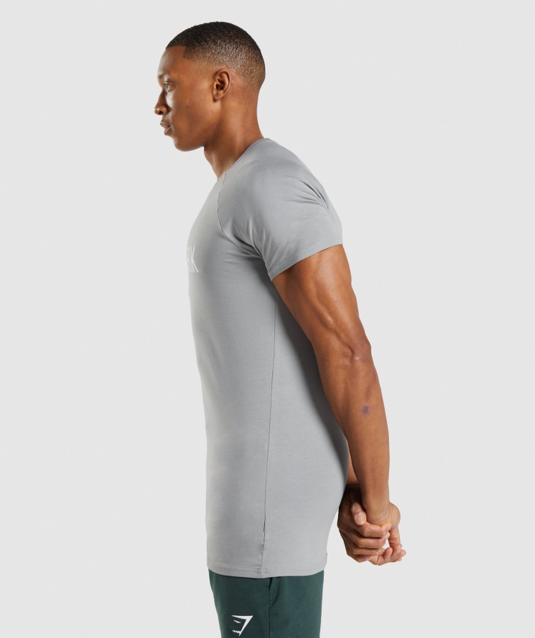 Camiseta Gymshark Gris Ahumado Apolo