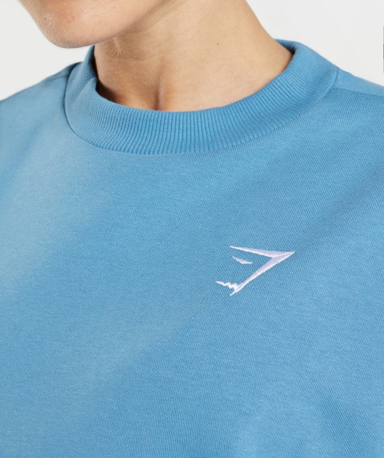 Sudadera Extragrande De Entrenamiento Gymshark Azul Costero