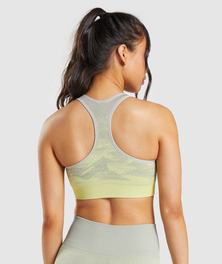 Sujetador Deportivo Sin Costuras Gymshark Triangle-Taupe Gray Adapt Ombre
