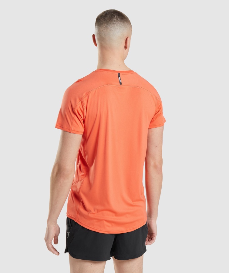 Velocidad Evolucionar Camiseta Papaya Naranja Gymshark
