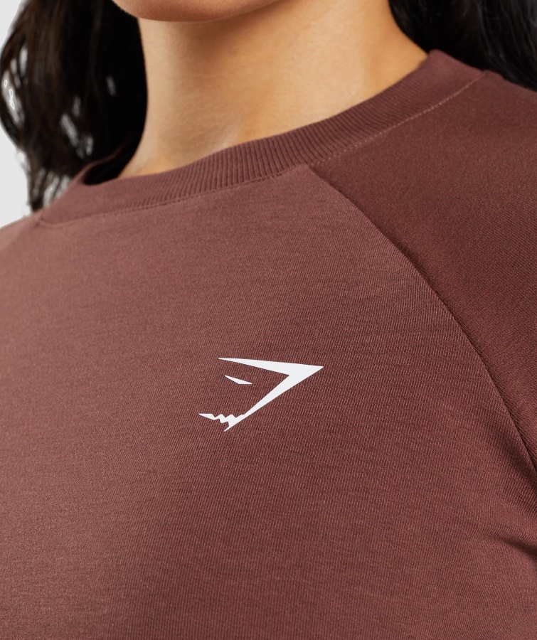 Suéter Corto De Entrenamiento Gymshark Marrón Cereza